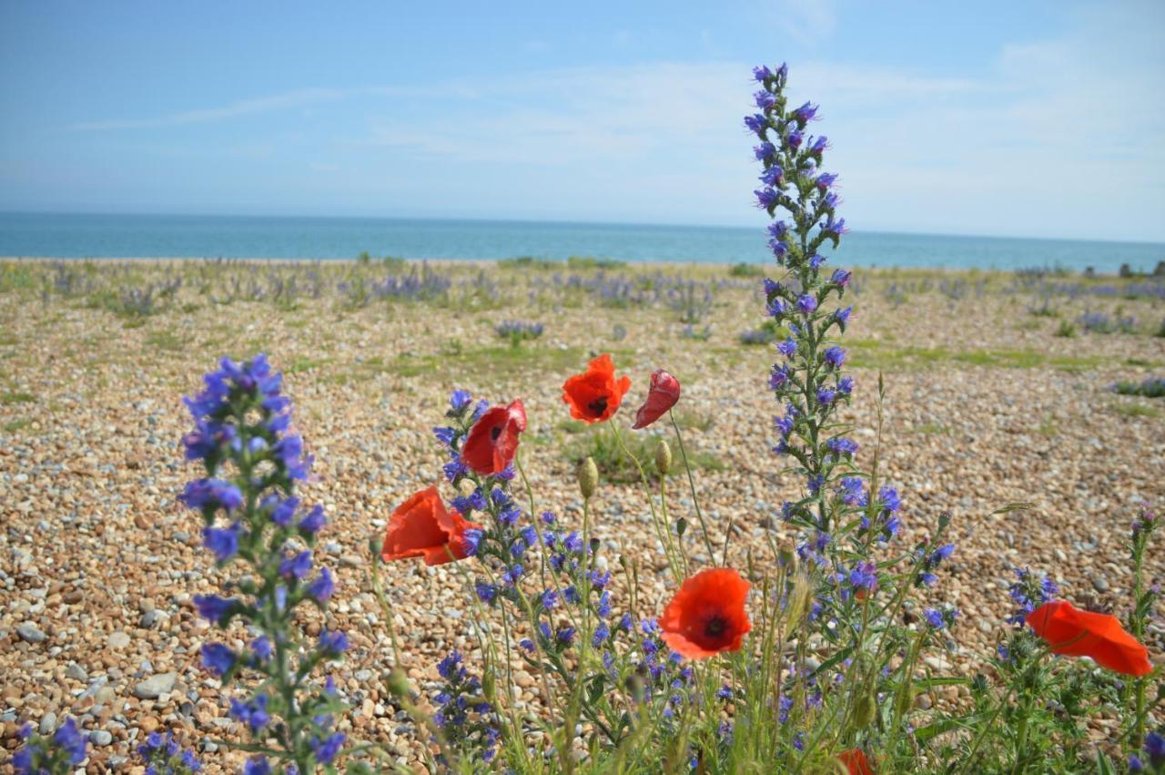 The Gem Bed and Breakfast Winchelsea Εξωτερικό φωτογραφία